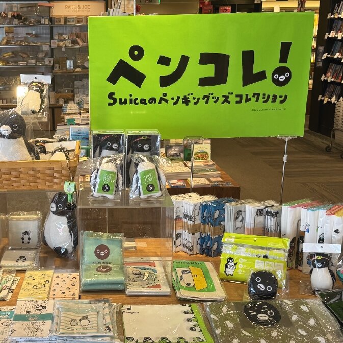 [画像]