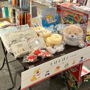[画像]