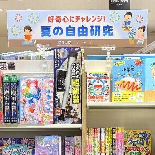 [画像]
