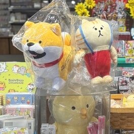 [画像]