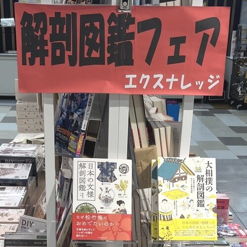 [画像]
