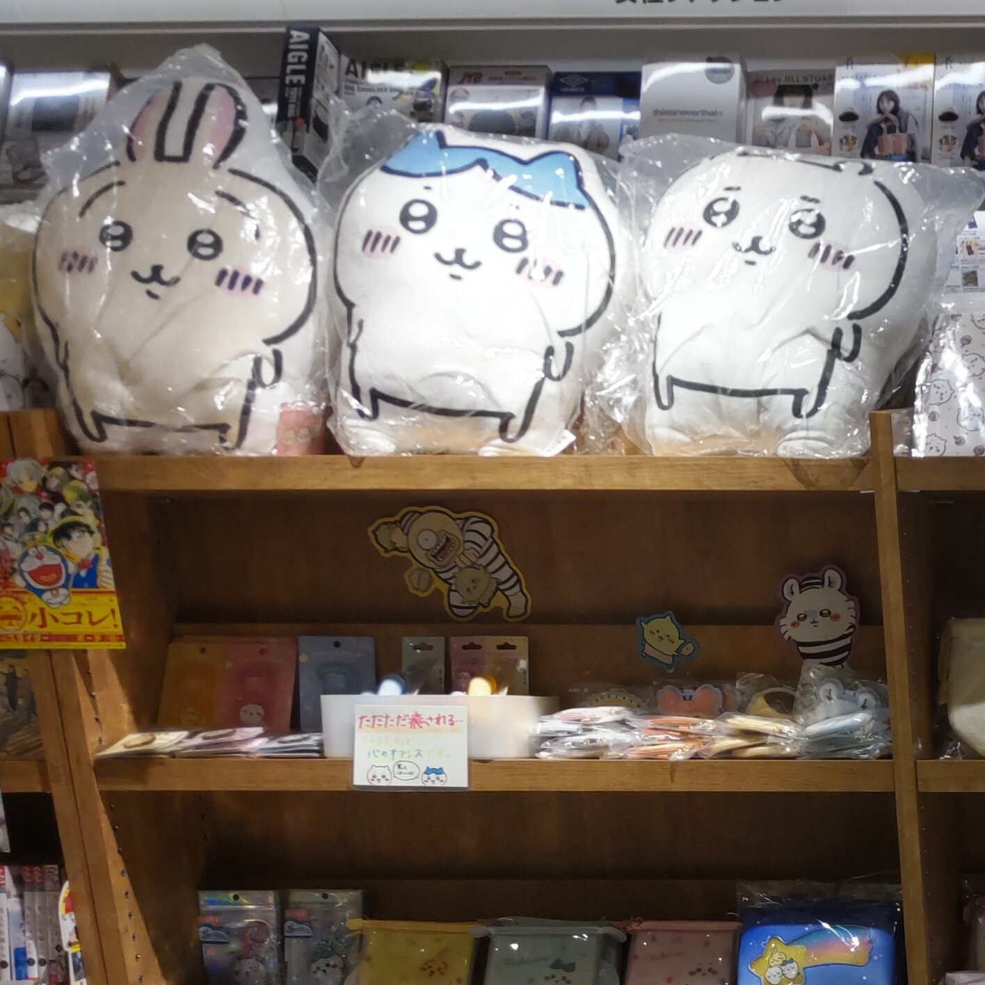 [画像]